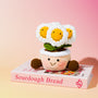 Happy Daisy - White 5½ In.